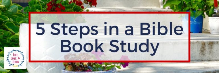 How to Do a Bible Book Study | 9 Simple Steps