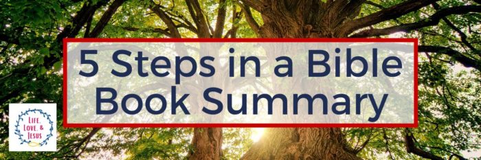 5 Steps in a Bible Book Summary