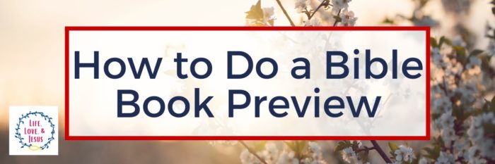 How to Do a Bible Book Preview