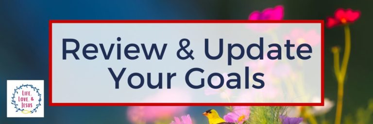 A Goal Check-up | Review and Update Your Goals