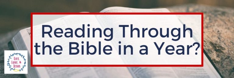 Should You Read Through the Bible in a Year?