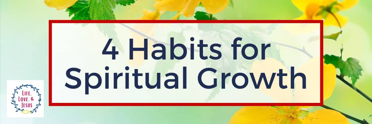 4 Habits for Spiritual Growth