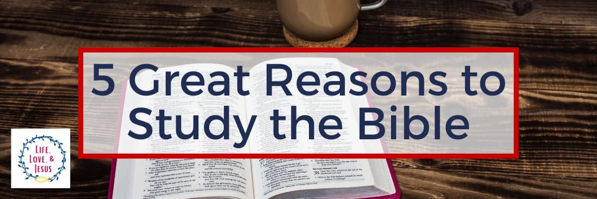 5 Great Reasons to Study the Bible