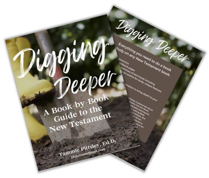 digging deeper book cover