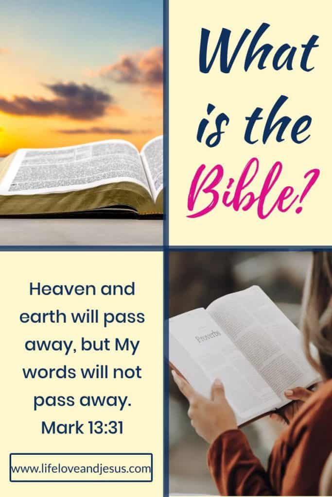 what is the bible